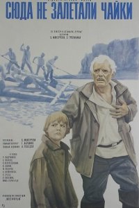  Сюда не залетали чайки (1978) 
