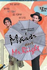  Я и мистер Правильный (2014) 