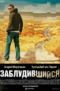  Заблудившийся (2009) 