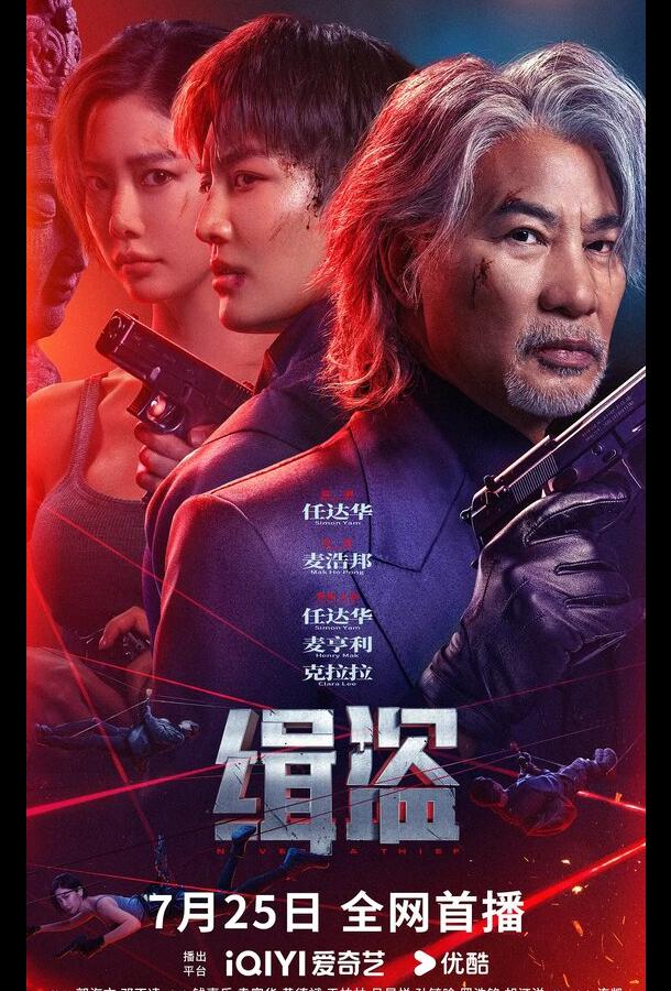 Поймать воров